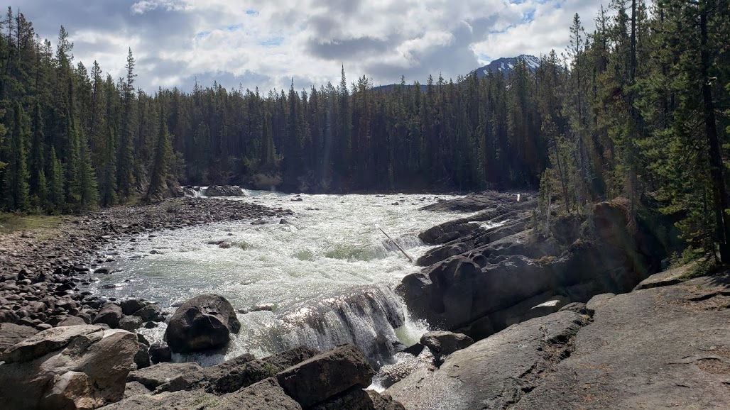 sunwapta falls