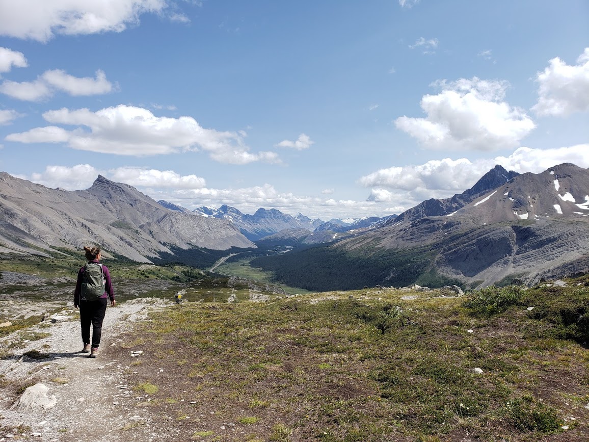 changer sa vie wilcox pass