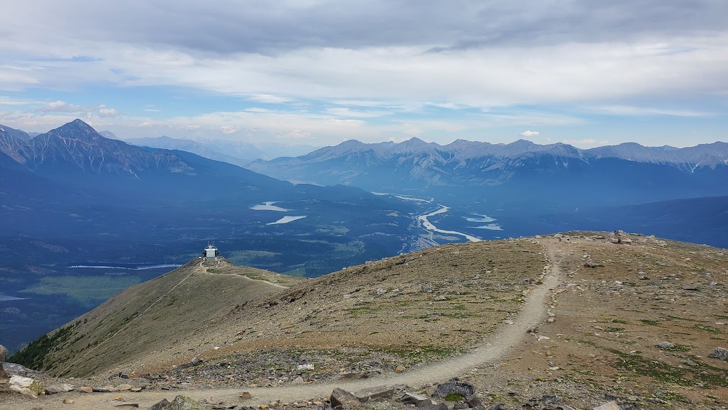 The Whistlers trail